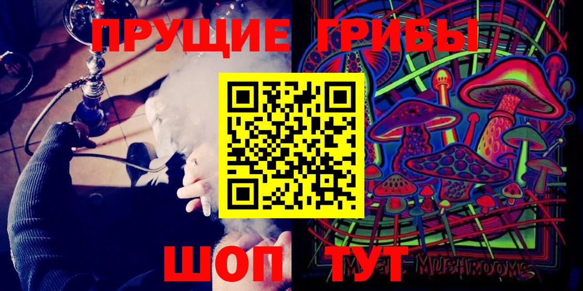 Галлюциногенные грибы MAGIC MUSHROOMS  Псилоцибиновые грибы Psilocybine cubensis  Волхов  Вход с VPN 